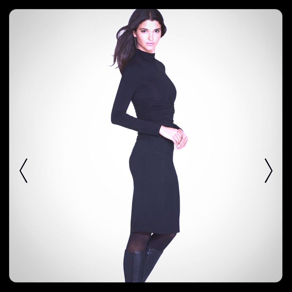 Never worn, shirred, mock turtleneck dress. NWT